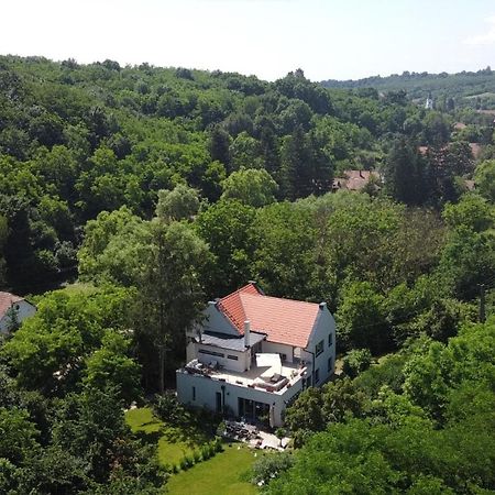 Villa Viridis Buekkalja Borsodgeszt ภายนอก รูปภาพ