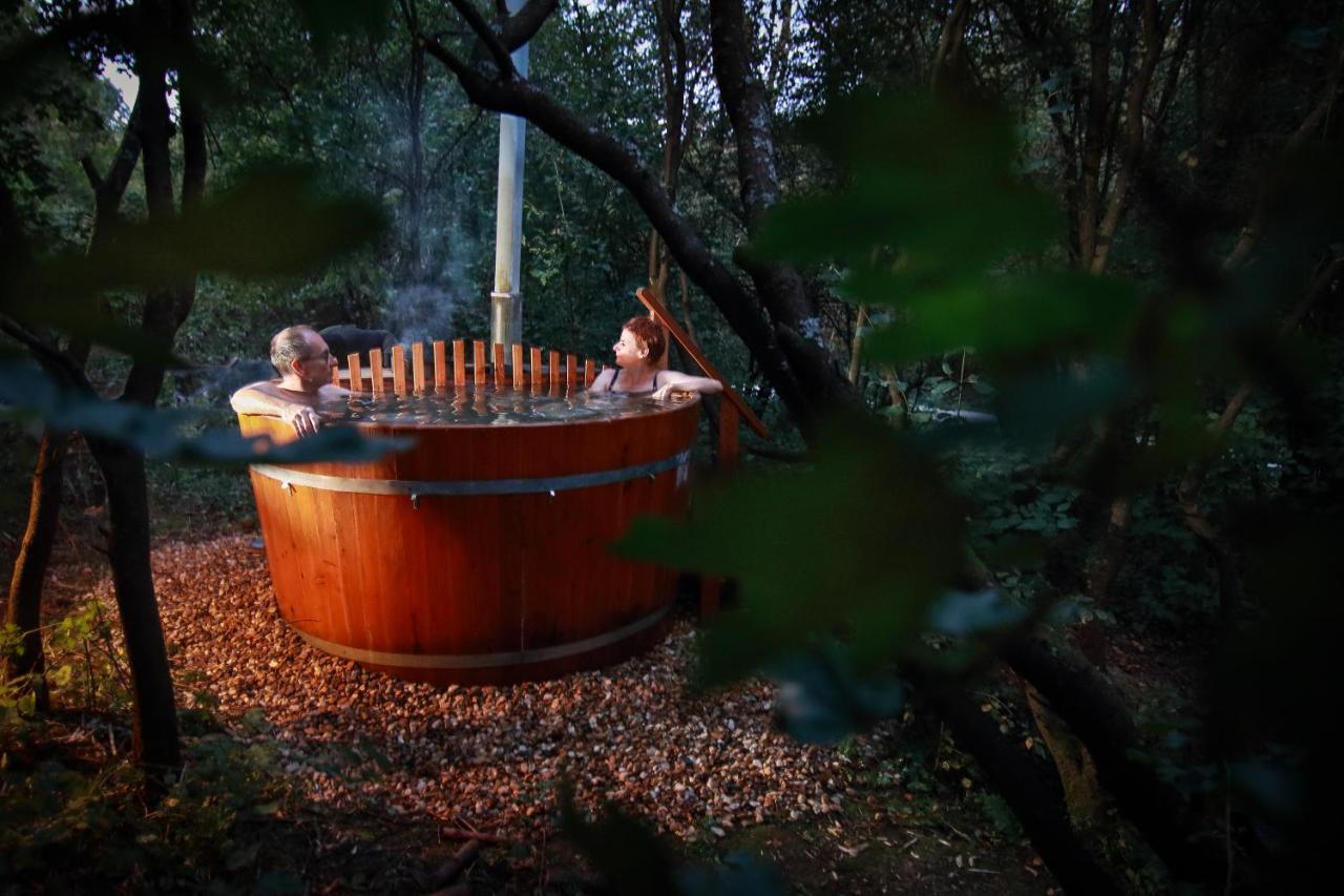 Villa Viridis Buekkalja Borsodgeszt ภายนอก รูปภาพ